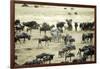 Kenya, Masai Mara, Zebras and Wildebeests Migrating-Anthony Asael-Framed Photographic Print