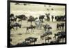 Kenya, Masai Mara, Zebras and Wildebeests Migrating-Anthony Asael-Framed Photographic Print