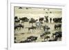 Kenya, Masai Mara, Zebras and Wildebeests Migrating-Anthony Asael-Framed Photographic Print