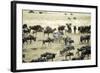 Kenya, Masai Mara, Zebras and Wildebeests Migrating-Anthony Asael-Framed Photographic Print