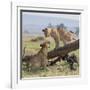 Kenya, Masai Mara-Nigel Pavitt-Framed Photographic Print