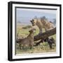 Kenya, Masai Mara-Nigel Pavitt-Framed Photographic Print