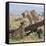 Kenya, Masai Mara-Nigel Pavitt-Framed Stretched Canvas