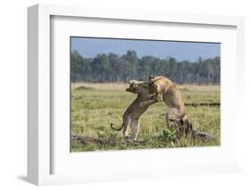 Kenya, Masai Mara-Nigel Pavitt-Framed Photographic Print