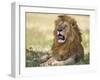 Kenya, Masai Mara-Nigel Pavitt-Framed Photographic Print