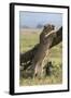 Kenya, Masai Mara-Nigel Pavitt-Framed Photographic Print