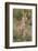 Kenya, Masai Mara-Nigel Pavitt-Framed Photographic Print