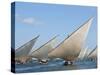 Kenya; Mashua Sailing Boats Participating in a Race Off Lamu Island-Nigel Pavitt-Stretched Canvas