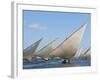 Kenya; Mashua Sailing Boats Participating in a Race Off Lamu Island-Nigel Pavitt-Framed Photographic Print