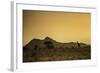 Kenya, Meru. a Giraffe Wanders across the Savannah in the Evening Light.-Niels Van Gijn-Framed Photographic Print