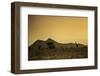 Kenya, Meru. a Giraffe Wanders across the Savannah in the Evening Light.-Niels Van Gijn-Framed Photographic Print