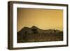 Kenya, Meru. a Giraffe Wanders across the Savannah in the Evening Light.-Niels Van Gijn-Framed Photographic Print