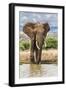 Kenya, Meru County, Lewa Conservancy. a Bull Elephant at a Waterhole.-Nigel Pavitt-Framed Premium Photographic Print