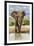 Kenya, Meru County, Lewa Conservancy. a Bull Elephant at a Waterhole.-Nigel Pavitt-Framed Photographic Print