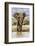 Kenya, Meru County, Lewa Conservancy. a Bull Elephant at a Waterhole.-Nigel Pavitt-Framed Photographic Print