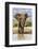 Kenya, Meru County, Lewa Conservancy. a Bull Elephant at a Waterhole.-Nigel Pavitt-Framed Photographic Print