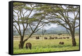 Kenya, Meru County-Nigel Pavitt-Framed Stretched Canvas