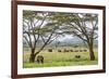 Kenya, Meru County-Nigel Pavitt-Framed Photographic Print