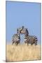 Kenya, Meru County-Nigel Pavitt-Mounted Photographic Print