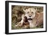 Kenya, Mother Lion Sitting with Her Cub-Kent Foster-Framed Photographic Print