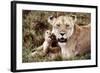 Kenya, Mother Lion Sitting with Her Cub-Kent Foster-Framed Photographic Print