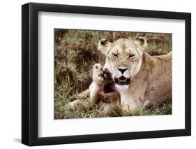 Kenya, Mother Lion Sitting with Her Cub-Kent Foster-Framed Photographic Print