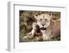 Kenya, Mother Lion Sitting with Her Cub-Kent Foster-Framed Photographic Print