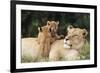 Kenya, Mother Lion with Cubs-Kent Foster-Framed Photographic Print