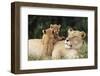 Kenya, Mother Lion with Cubs-Kent Foster-Framed Photographic Print