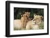 Kenya, Mother Lion with Cubs-Kent Foster-Framed Photographic Print