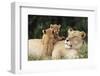 Kenya, Mother Lion with Cubs-Kent Foster-Framed Photographic Print