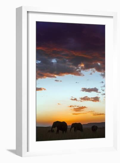 Kenya, Narok County, Masai Mara. Elephants Silhouetted Against a Beautiful Sky at Sunset.-Nigel Pavitt-Framed Photographic Print