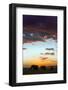 Kenya, Narok County, Masai Mara. Elephants Silhouetted Against a Beautiful Sky at Sunset.-Nigel Pavitt-Framed Photographic Print