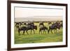 Kenya, Narok County-Nigel Pavitt-Framed Photographic Print