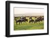 Kenya, Narok County-Nigel Pavitt-Framed Photographic Print