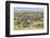 Kenya, Narok County-Nigel Pavitt-Framed Photographic Print