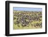 Kenya, Narok County-Nigel Pavitt-Framed Photographic Print