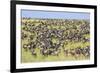 Kenya, Narok County-Nigel Pavitt-Framed Photographic Print