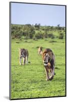 Kenya, Narok County-Nigel Pavitt-Mounted Photographic Print