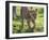 Kenya, Narok County-Nigel Pavitt-Framed Photographic Print