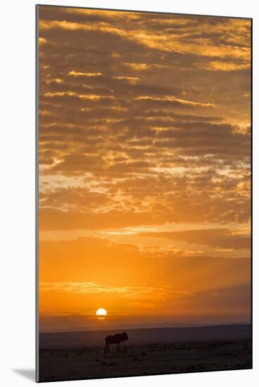 Kenya, Narok County-Nigel Pavitt-Mounted Photographic Print