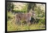 Kenya, Narok County-Nigel Pavitt-Framed Premium Photographic Print