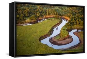 Kenya, Narok County-Nigel Pavitt-Framed Stretched Canvas