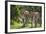 Kenya, Narok County-Nigel Pavitt-Framed Photographic Print