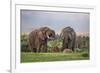 Kenya, Nyeri County-Nigel Pavitt-Framed Photographic Print