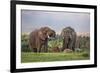 Kenya, Nyeri County-Nigel Pavitt-Framed Photographic Print