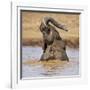 Kenya, Nyeri County-Nigel Pavitt-Framed Photographic Print