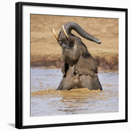 Kenya, Nyeri County-Nigel Pavitt-Framed Photographic Print