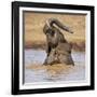 Kenya, Nyeri County-Nigel Pavitt-Framed Photographic Print