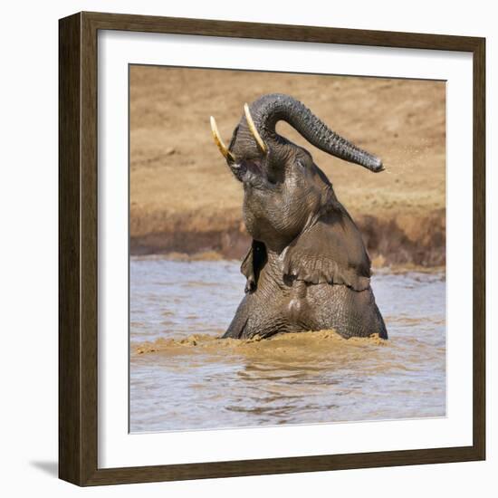 Kenya, Nyeri County-Nigel Pavitt-Framed Photographic Print